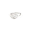 Sornette ring 2CT diamond, with dots 0,6CT diamonds and white gold
